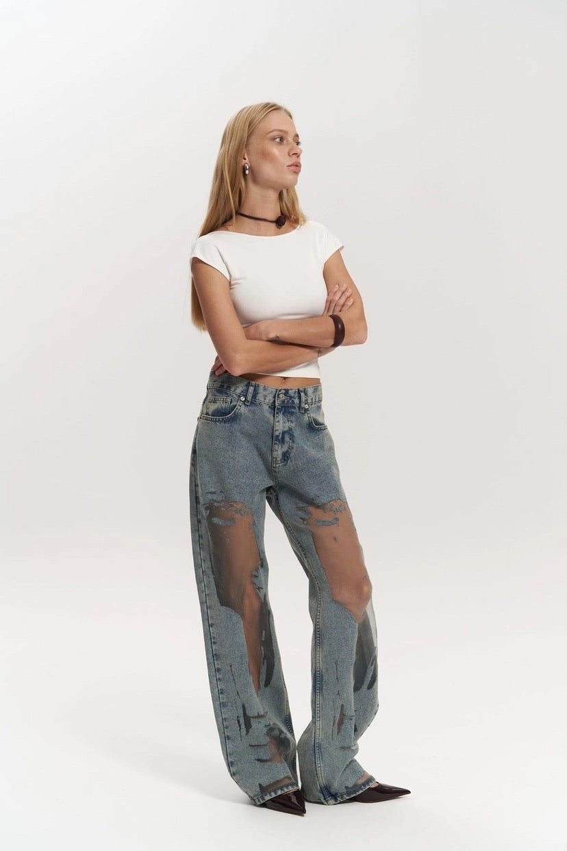 Premium Exclusive Design Sheer Jeans