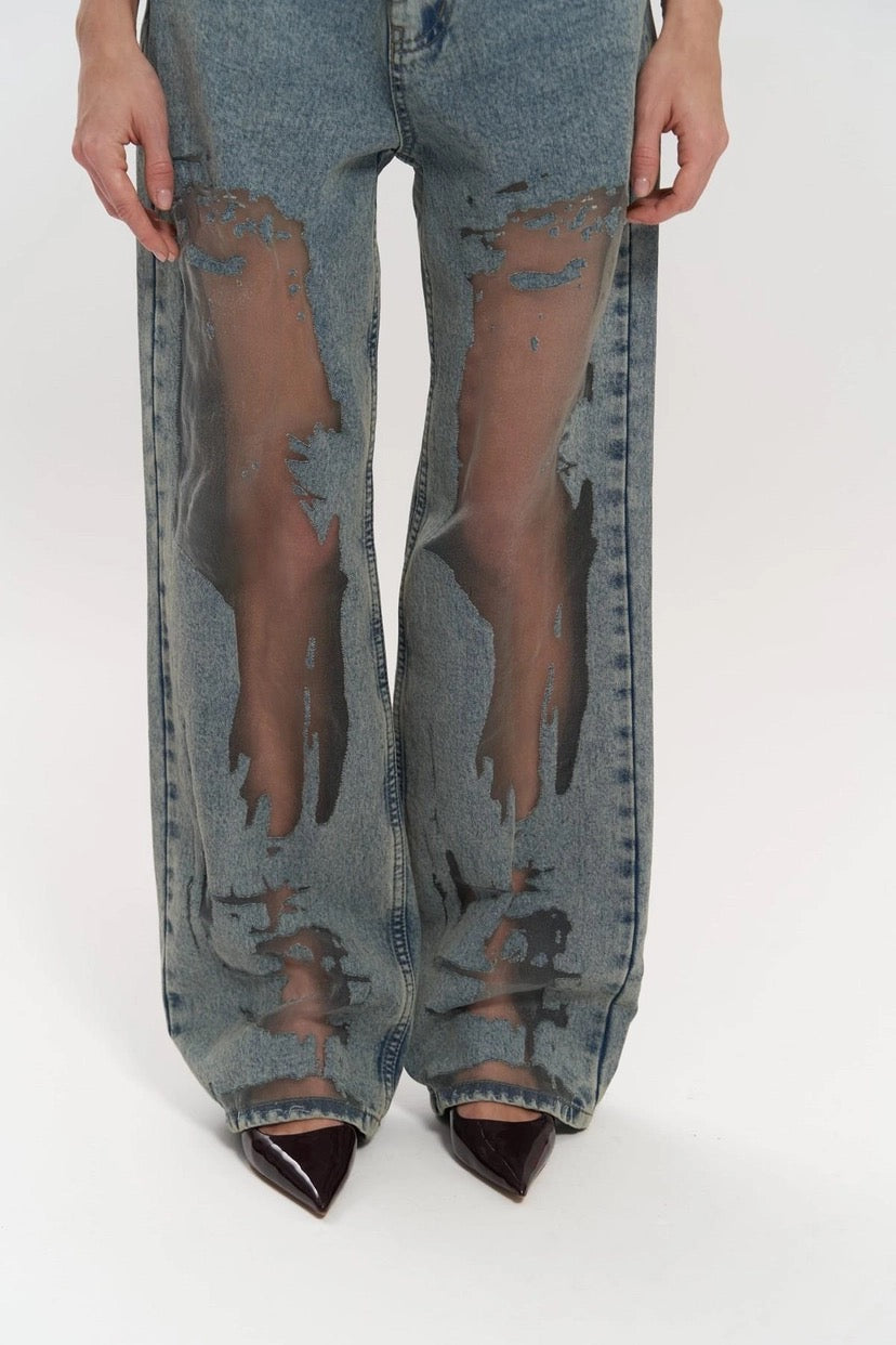 Premium Exclusive Design Sheer Jeans