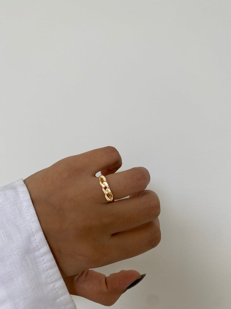 Three Lined Up Chain Ring